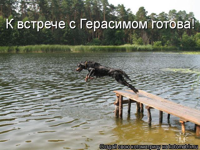 Котоматрица: К встрече с Герасимом готова!
