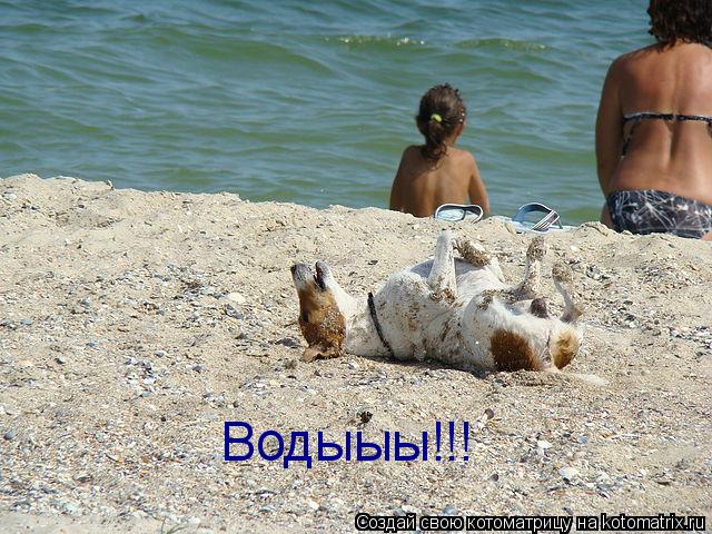 Водыыы!!!... Котоматрица: Водыыы!!!