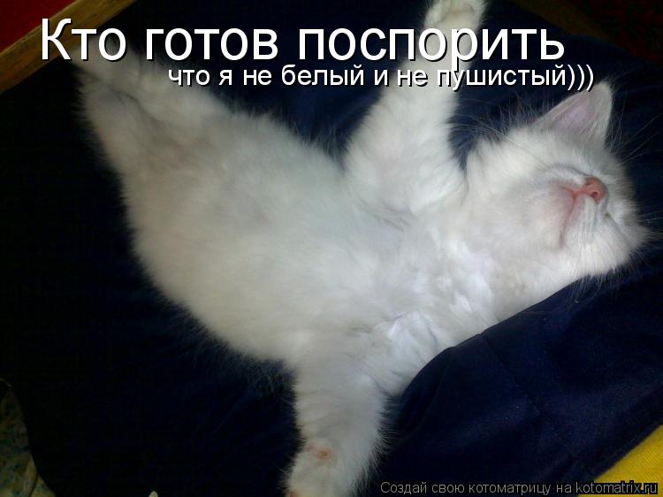 Кто готов поспорить что я не белый и не пушистый)))... Котоматрица: Кто готов поспорить что я не белый и не пушистый)))