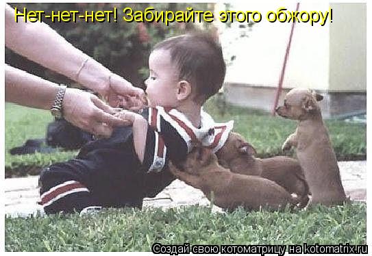 Нет-нет-нет! Забирайте этого обжору!... Котоматрица: Нет-нет-нет! Забирайте этого обжору!