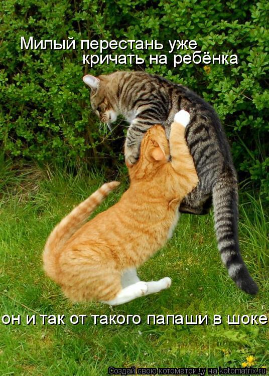 Милый перестань уже кричать на ребёнка он и так от такого папаши в шоке... Котоматрица: Милый перестань уже кричать на ребёнка он и так от такого папаши в шоке