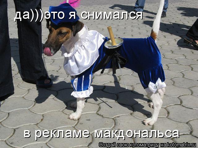 да)))это я снимался в рекламе макдональса... Котоматрица: да)))это я снимался в рекламе макдональса