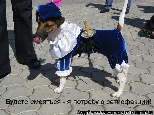 Будете смеяться - я потребую сатисфакции!... Котоматрица: Будете смеяться - я потребую сатисфакции!