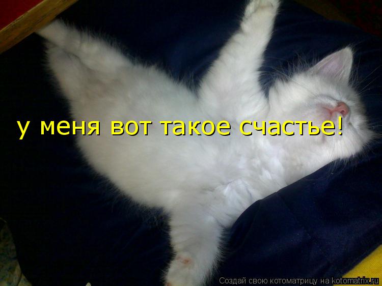 у меня вот такое счастье!... Котоматрица: у меня вот такое счастье!