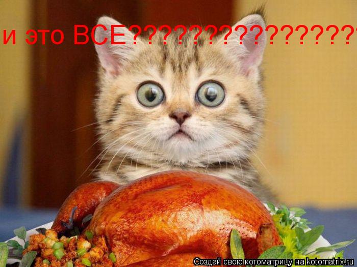 и это ВСЕ????????????????????... Котоматрица: и это ВСЕ????????????????????