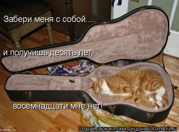 Забери меня с собой..... и получишь десять лет, восемнадцати мне нет!... Котоматрица: Забери меня с собой..... и получишь десять лет, восемнадцати мне нет!
