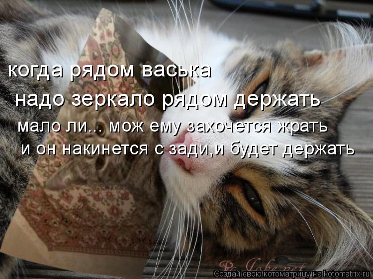 когда рядом васька надо зеркало рядом держать мало ли... мож ему захочется жрать и он накинется с за... Котоматрица: когда рядом васька надо зеркало рядом держать мало ли... мож ему захочется жрать и он накинется с зади,и будет держать