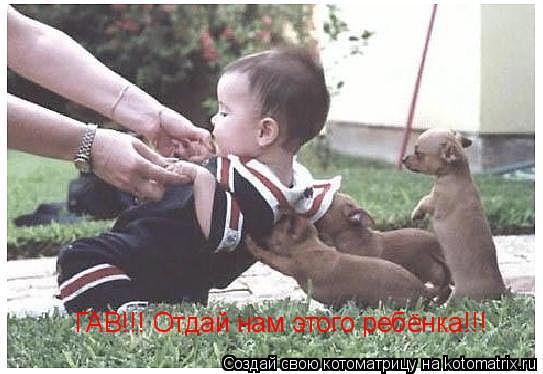 ГАВ!!! Отдай нам этого ребёнка!!!... Котоматрица: ГАВ!!! Отдай нам этого ребёнка!!!