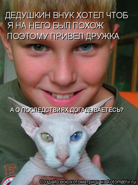 ДЕДУШКИН ВНУК ХОТЕЛ ЧТОБ Я НА НЕГО БЫЛ ПОХОЖ ПОЭТОМУ ПРИВЕЛ ДРУЖКА А О ПОСЛЕДСТВИЯХ ДОГАДЫВАЕТЕСЬ?... Котоматрица: ДЕДУШКИН ВНУК ХОТЕЛ ЧТОБ Я НА НЕГО БЫЛ ПОХОЖ ПОЭТОМУ ПРИВЕЛ ДРУЖКА А О ПОСЛЕДСТВИЯХ ДОГАДЫВАЕТЕСЬ?