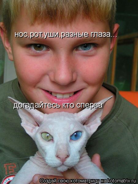нос,рот,уши,разные глаза... догадайтесь кто сперва... Котоматрица: нос,рот,уши,разные глаза... догадайтесь кто сперва
