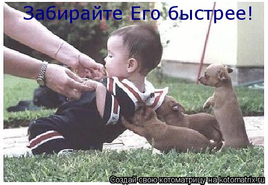 Забирайте Его быстрее!... Котоматрица: Забирайте Его быстрее!