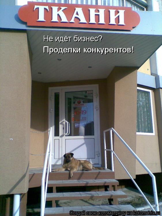 Не идёт бизнес? Проделки конкурентов!... Котоматрица: Не идёт бизнес? Проделки конкурентов!