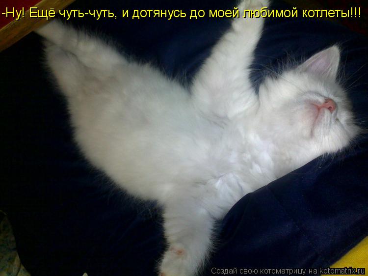-Ну! Ещё чуть-чуть, и дотянусь до моей любимой котлеты!!!... Котоматрица: -Ну! Ещё чуть-чуть, и дотянусь до моей любимой котлеты!!!