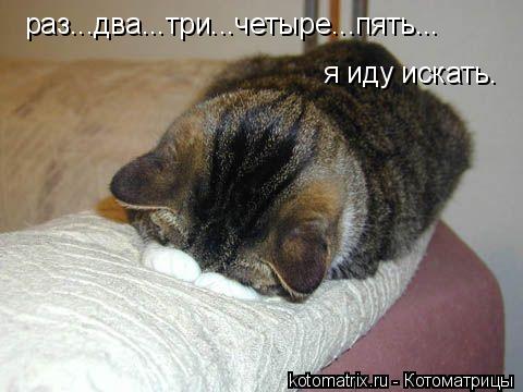 раз...два...три...четыре...пять... я иду искать.... Котоматрица: раз...два...три...четыре...пять... я иду искать.