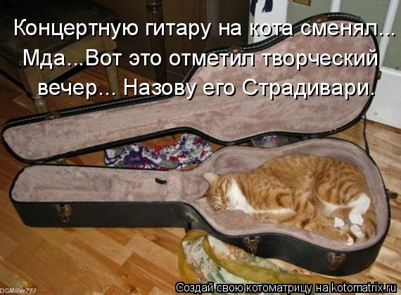 Концертную гитару на кота сменял... Мда...Вот это отметил творческий вечер... Назову его Страдивари.... Котоматрица: Концертную гитару на кота сменял... Мда...Вот это отметил творческий вечер... Назову его Страдивари.