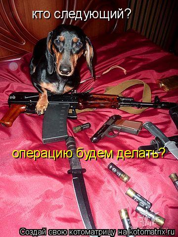 кто следующий? операцию будем делать?... Котоматрица: кто следующий? операцию будем делать?