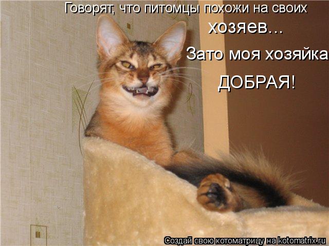 Говорят, что питомцы похожи на своих хозяев... Зато моя хозяйка ДОБРАЯ!... Котоматрица: Говорят, что питомцы похожи на своих хозяев... Зато моя хозяйка ДОБРАЯ!