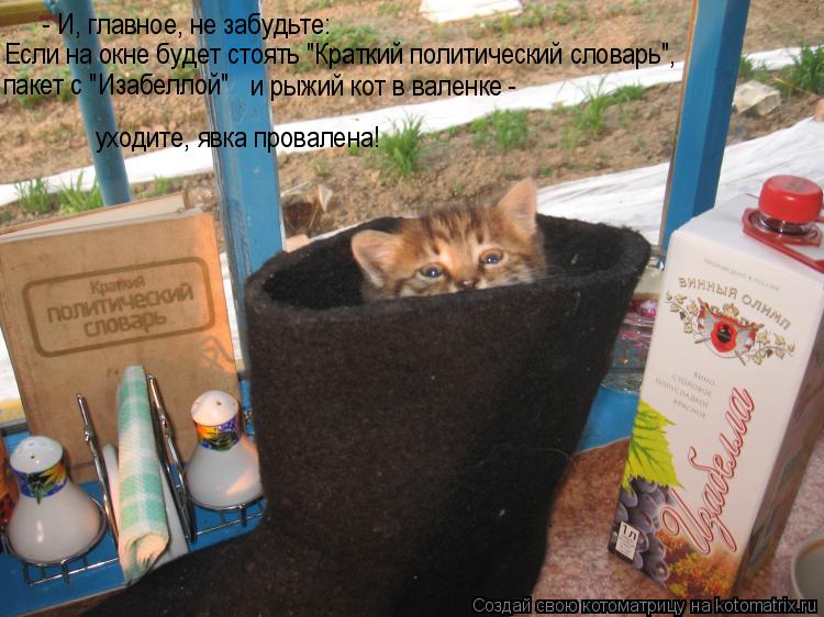 - И, главное, не забудьте: Если на окне будет стоять "Краткий политический словарь", пакет с "Изабелл... Котоматрица: - И, главное, не забудьте: Если на окне будет стоять "Краткий политический словарь", пакет с "Изабеллой" и рыжий кот в валенке - уходите, явка п