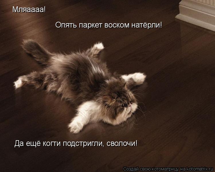 Мляаааа! Опять паркет воском натёрли! Да ещё когти подстригли, сволочи!... Котоматрица: Мляаааа! Опять паркет воском натёрли! Да ещё когти подстригли, сволочи!