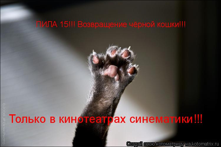 ПИЛА 15!!! Возвращение чёрной кошки!!! Только в кинотеатрах синематики!!!... Котоматрица: ПИЛА 15!!! Возвращение чёрной кошки!!! Только в кинотеатрах синематики!!!