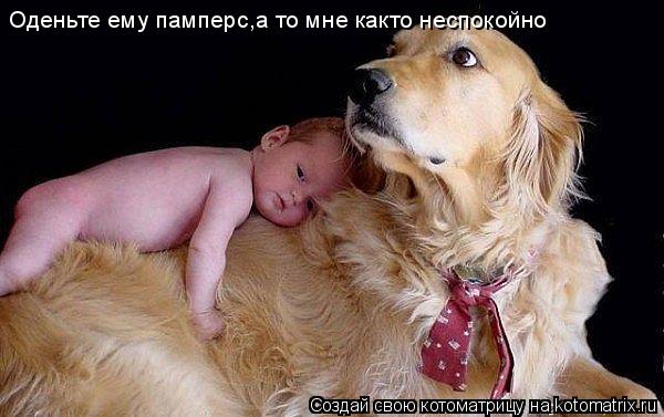 Оденьте ему памперс,а то мне както неспокойно... Котоматрица: Оденьте ему памперс,а то мне както неспокойно