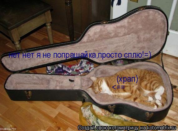 нет нет я не попрашайка,просто сплю!=) (храп) <==... Котоматрица: нет нет я не попрашайка,просто сплю!=) (храп) <==