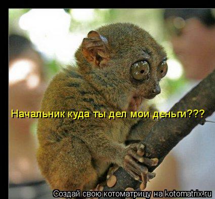 Н Начальник куда ты дел мои деньги???... Котоматрица: Н Начальник куда ты дел мои деньги???