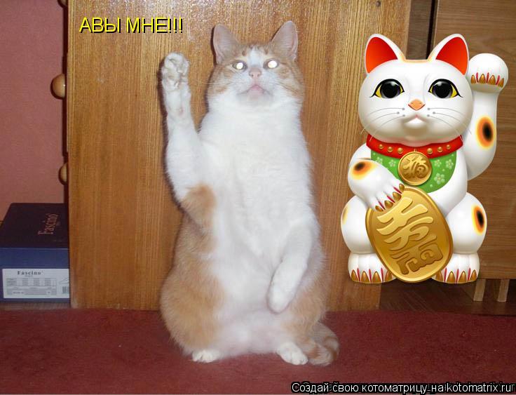 АВЫ МНЕ!!!... Котоматрица: АВЫ МНЕ!!!