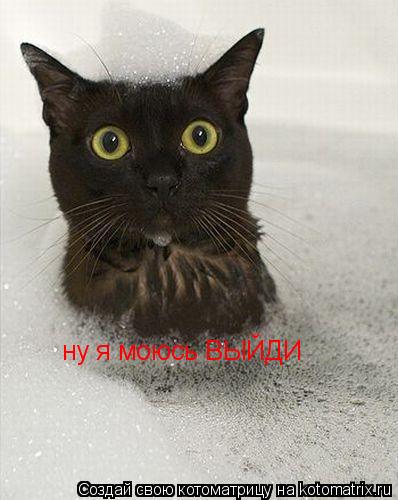 ну я моюсь ВЫЙДИ... Котоматрица: ну я моюсь ВЫЙДИ