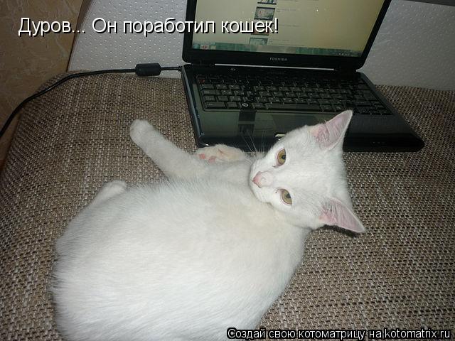 Дуров... Он поработил кошек!... Котоматрица: Дуров... Он поработил кошек!