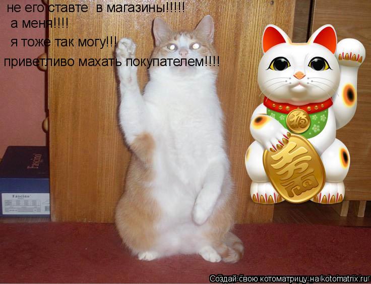 приветливо махать покупателем!!!! я тоже так могу!!! а меня!!!! не его ставте в магазины!!!!!... Котоматрица: приветливо махать покупателем!!!! я тоже так могу!!! а меня!!!! не его ставте в магазины!!!!!