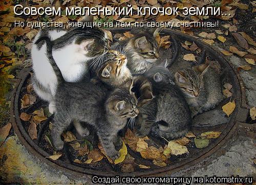 Совсем маленький клочок земли... Но существа, живущие на нём, по-своему счастливы!... Котоматрица: Совсем маленький клочок земли... Но существа, живущие на нём, по-своему счастливы!