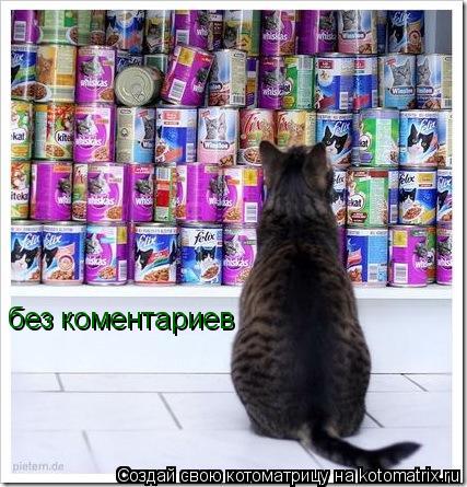 без коментариев... Котоматрица: без коментариев