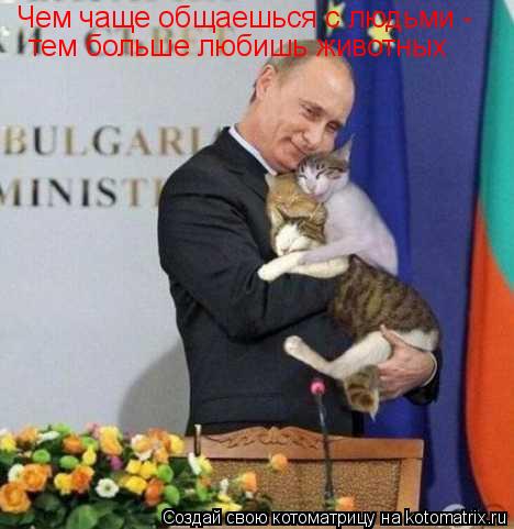 Чем чаще общаешься с людьми - тем больше любишь животных... Котоматрица: Чем чаще общаешься с людьми - тем больше любишь животных