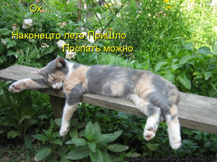 Ох...... Наконецто лето ПриШло Поспать можно... Котоматрица: Ох...... Наконецто лето ПриШло Поспать можно