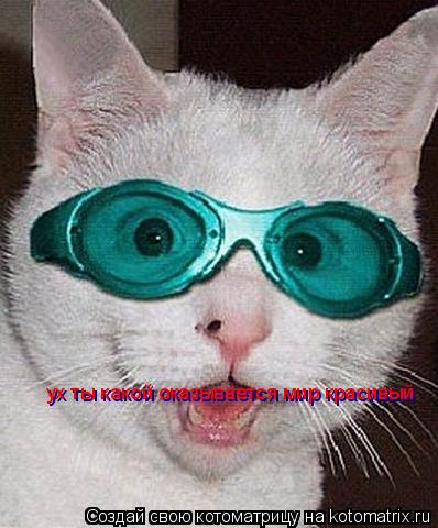 ух ты какой оказывается мир красивый ух ты какой оказывается мир красивый... Котоматрица: ух ты какой оказывается мир красивый ух ты какой оказывается мир красивый