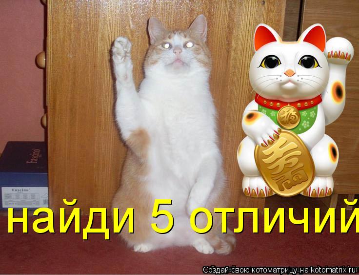 найди 5 отличий... Котоматрица: найди 5 отличий