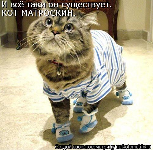 И всё таки он существует. КОТ МАТРОСКИН.... Котоматрица: И всё таки он существует. КОТ МАТРОСКИН.