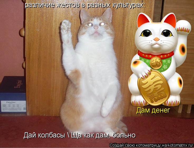 различие жестов в разных культурах: Дай колбасы \ Ща как дам, больно Дам денег... Котоматрица: различие жестов в разных культурах: Дай колбасы \ Ща как дам, больно Дам денег