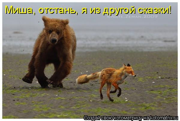 Миша, отстань, я из другой сказки!... Котоматрица: Миша, отстань, я из другой сказки!