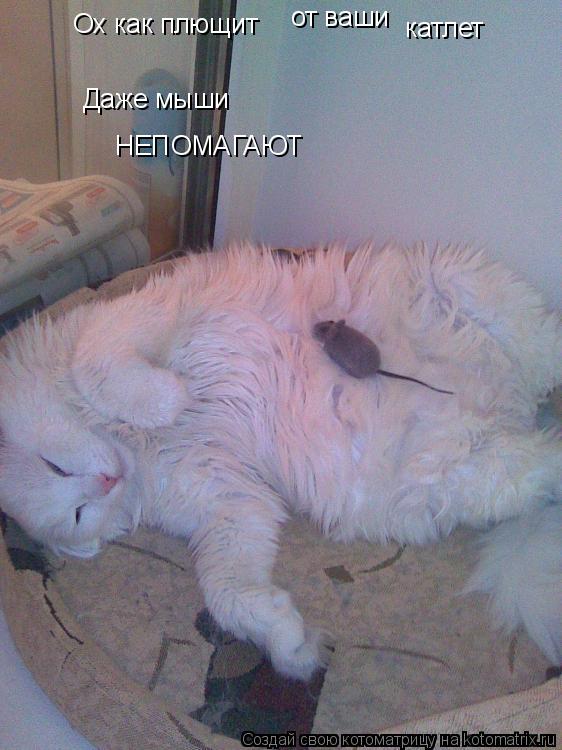 Ох как плющит Даже мыши НЕПОМАГАЮТ от ваши катлет... Котоматрица: Ох как плющит Даже мыши НЕПОМАГАЮТ от ваши катлет