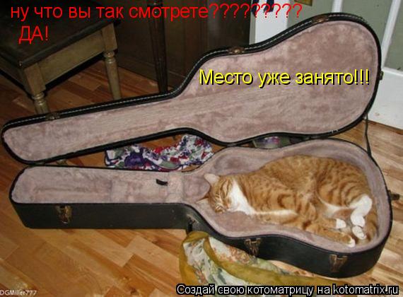 ну что вы так смотрете????????? ДА! Место уже занято!!!... Котоматрица: ну что вы так смотрете????????? ДА! Место уже занято!!!