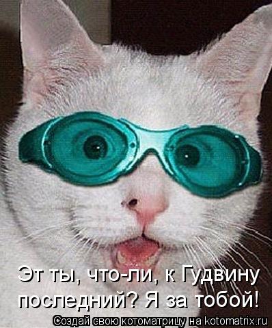 Эт ты, что-ли, к Гудвину последний? Я за тобой!... Котоматрица: Эт ты, что-ли, к Гудвину последний? Я за тобой!