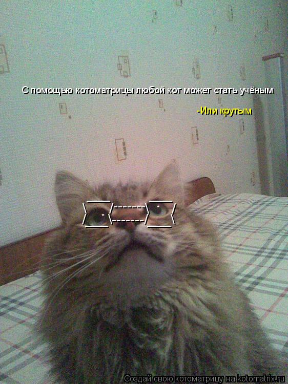 /___\-------/___\ /___\-------/___\ С помощью котоматрицы любой кот может стать учёным -Или крутым... Котоматрица: /___\-------/___\ /___\-------/___\ С помощью котоматрицы любой кот может стать учёным -Или крутым