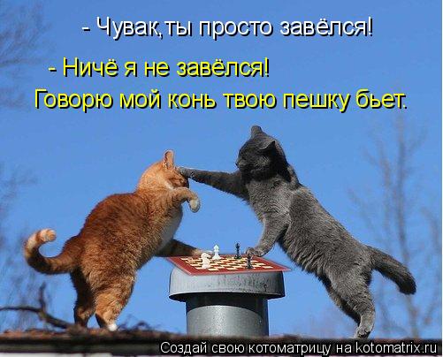 Котоматрица: - Чувак,ты просто завёлся!  - Ничё я не завёлся!   Говорю мой конь твою пешку бьет.