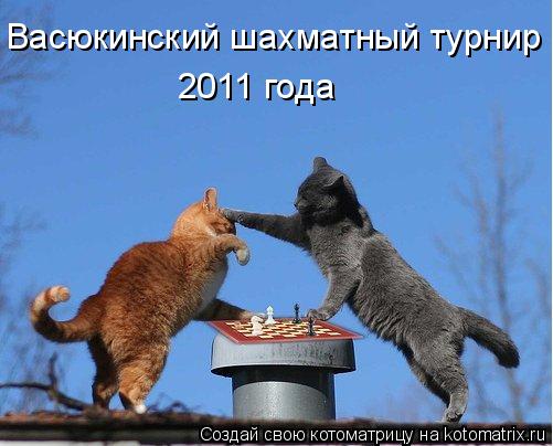 Васюкинский шахматный турнир 2011 года... Котоматрица: Васюкинский шахматный турнир 2011 года