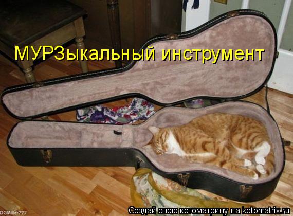 Котоматрица: МУРЗыкальный инструмент