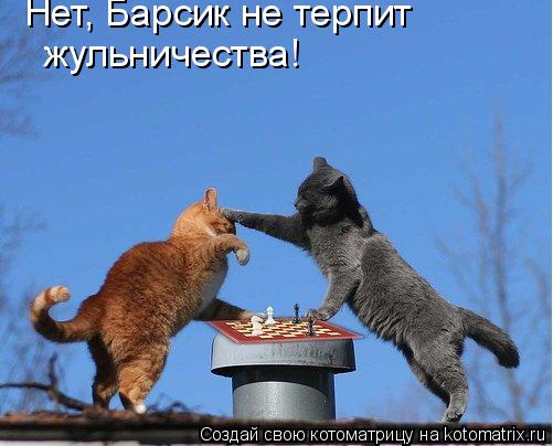 Нет, Барсик не терпит жульничества!... Котоматрица: Нет, Барсик не терпит жульничества!
