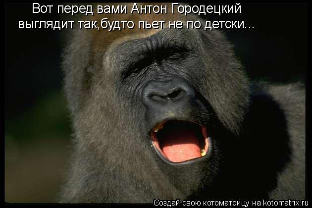 Вот перед вами Антон Городецкий выглядит так,будто пьет не по детски...... Котоматрица: Вот перед вами Антон Городецкий выглядит так,будто пьет не по детски...