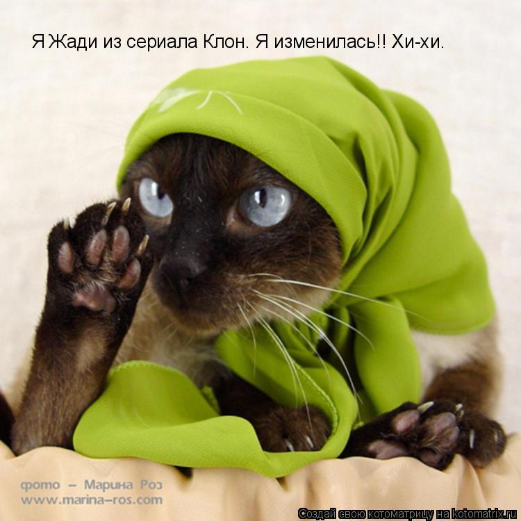 Я Жади из сериала Клон. Я изменилась!! Хи-хи.... Котоматрица: Я Жади из сериала Клон. Я изменилась!! Хи-хи.